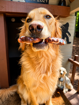 Meet the Backyard Bandit: Nugget's New $10 Chew Toy