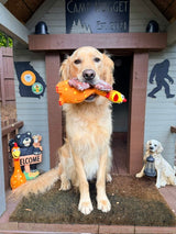 One to Squeak, One to Chew: Meet the Cluck & Chew Combo