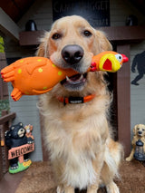 Camp Clucker: How One Squeaky Chicken Took Over the Internet