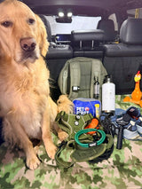 What We Actually Carry On The Trail With Nugget