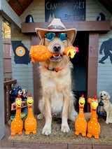 Why Camp Clucker Became the Toy Every Dog Wants