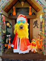 A Camp Nugget Christmas 🎄🐔