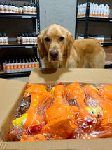 Camp Clucker Headquarters Receives Fresh Shipment