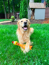 A Golden Retriever, a Camp Clucker, and a Good Tuesday