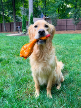 Why Does My Dog Carry a Toy Everywhere?