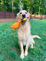 More Than a Toy: Why Camp Clucker Goes Everywhere With Nugget