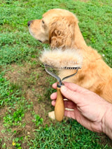 How Much Hair Can One Golden Retriever Lose? 😅
