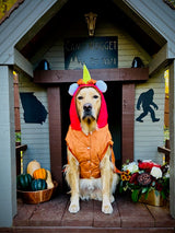 Happy Thanksgiving from Camp Nugget 🧡  By Jasper Golden Nugget, Chief Happiness Officer