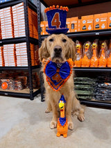 🎉 Nugget Turned 4 — And He Only Wanted One Thing