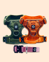 Gear