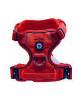 Beast Harness