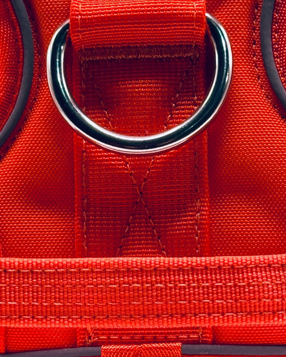 Beast Harness