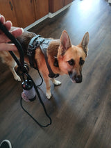 Nuggy Beast Harness