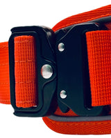 Beast Harness