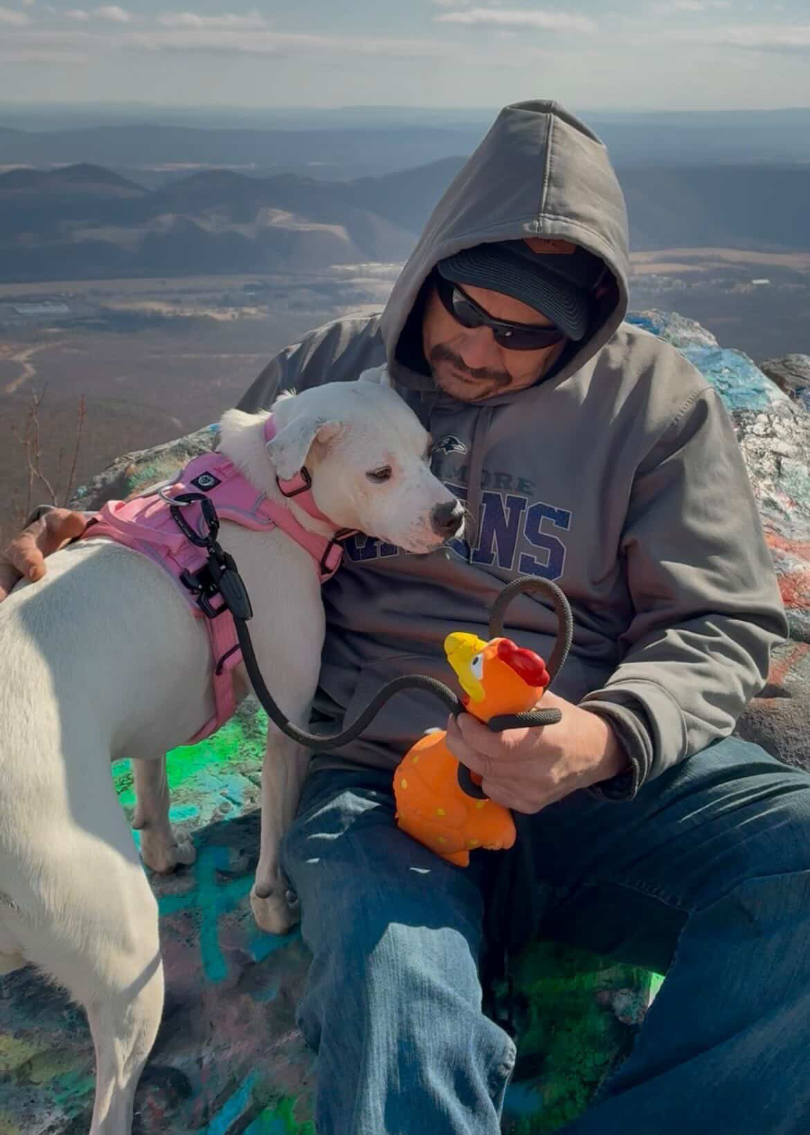 Camp Clucker Squeaky Dog Toy