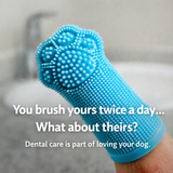 Nuggy Finger Toothbrush (5-Pack)