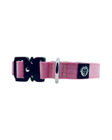 Pink dog collar with black buckle on a white background