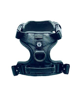 Black dog harness on a white background