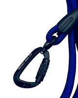 Blue dog leash with black carabiner on a white background