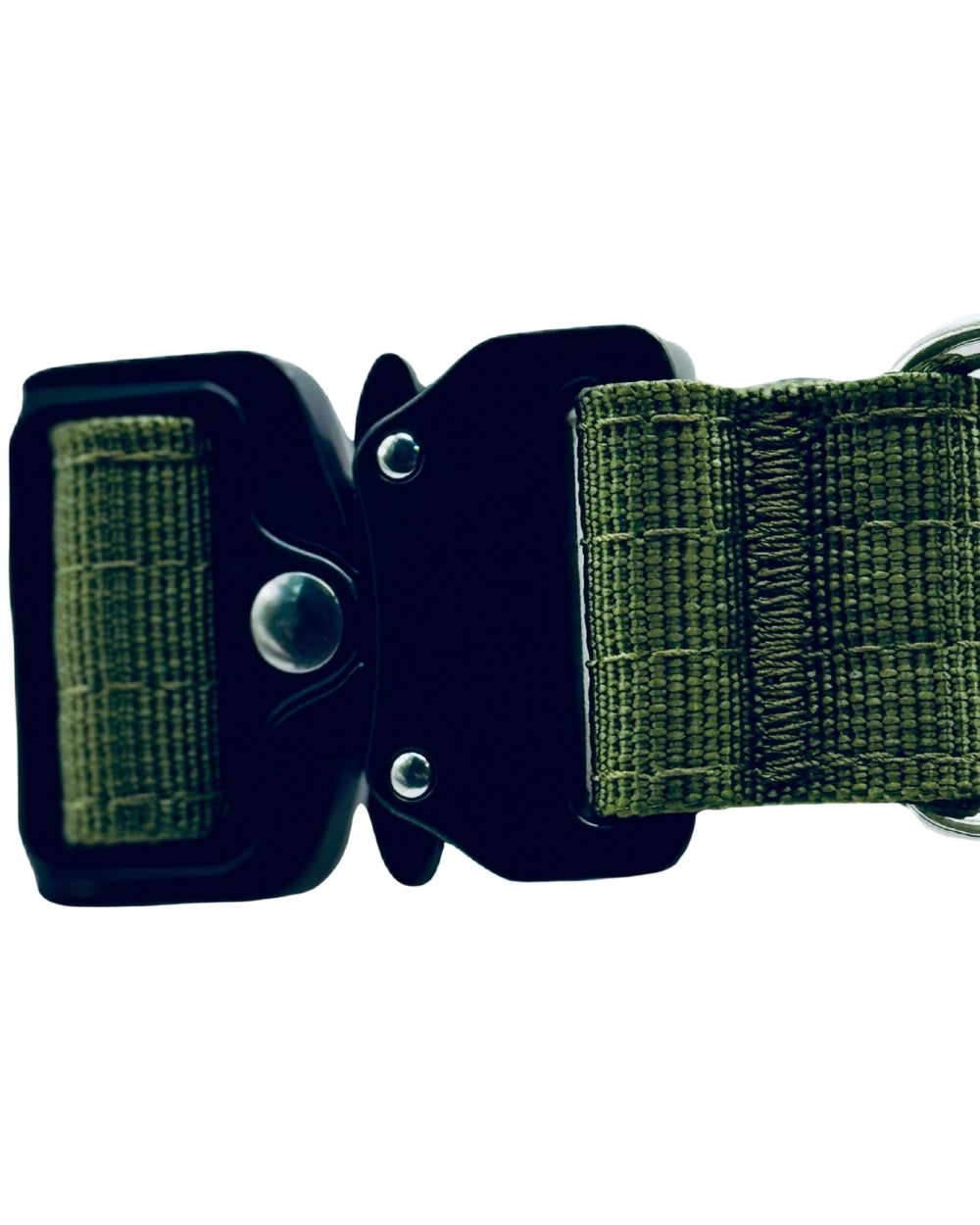 Close-up of a green dog collar with black buckle on a white background