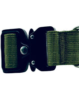 Close-up of a green dog collar with black buckle on a white background