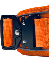 Close-up of an orange belt with a black buckle on a white background