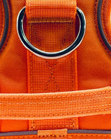 Close-up of an orange strap with a metal ring and stitching details.