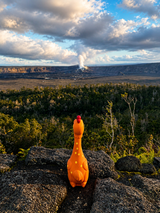Camp Clucker Squeaky Dog Toy