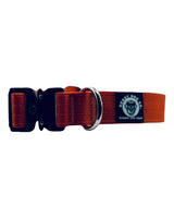 Dog collar with reflective red and black design on a white background