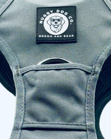Gray dog grooming vest with Nuggy Dog Co. logo on a gray background