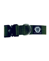 Green dog collar with a brand logo on a white background