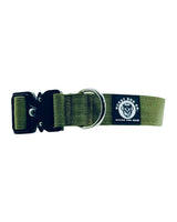 Green dog collar with a brand label on a white background