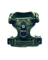 Green dog harness on a white background