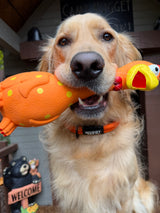 Camp Clucker Squeaky Dog Toy