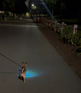 Clip-On Trail Light + Pet Light Bundle