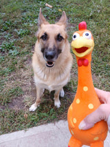Camp Clucker Squeaky Dog Toy