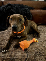Camp Clucker squeaky chicken dog toy by Nuggy Dog Co