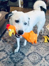 Camp Clucker Squeaky Dog Toy
