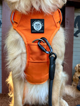 Nuggy Beast Harness