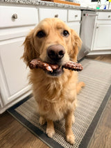 Backyard Bandit Dog Chew Toy 🦝