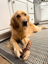 Backyard Bandit Dog Chew Toy 🦝