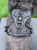 Nuggy Beast Harness