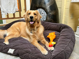 Camp Clucker Squeaky Dog Toy