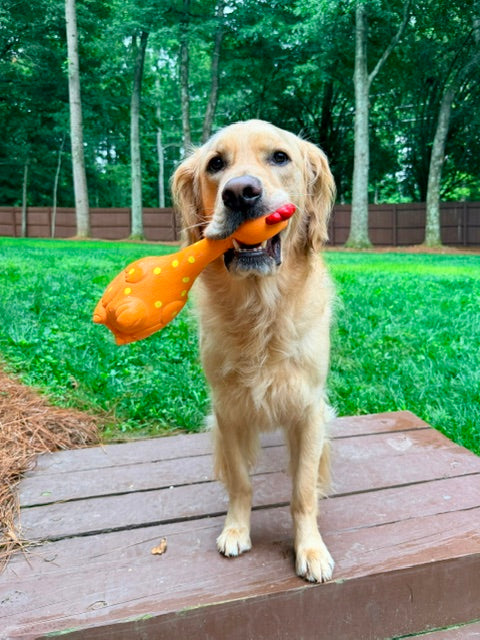 Camp Clucker Squeaky Dog Toy