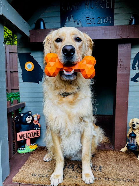 Nuggy Bone