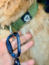 Nuggy Beast Collar
