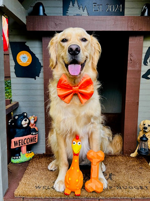 Nuggy Toy Duo | Camp Clucker + Nuggy Bone Dog Toy Bundle