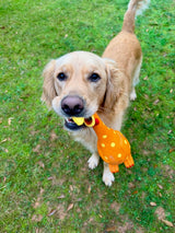Camp Clucker squeaky chicken dog toy by Nuggy Dog Co