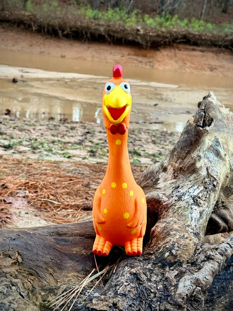 Camp Clucker Squeaky Dog Toy
