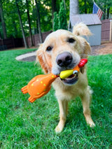 Camp Clucker Squeaky Dog Toy